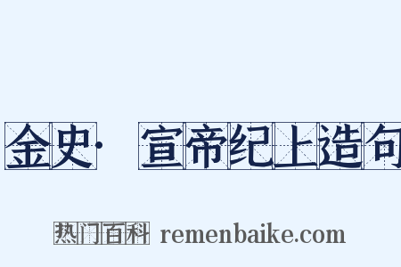金史·宣帝纪上造句是什么意思的图片